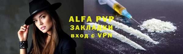 PSILOCYBIN Фёдоровский