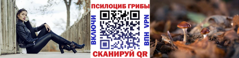 Купить  Шелехов  Галлюциногенные грибы мухоморы 