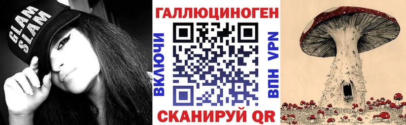 Псилоцибиновые грибы Psilocybe Шелехов